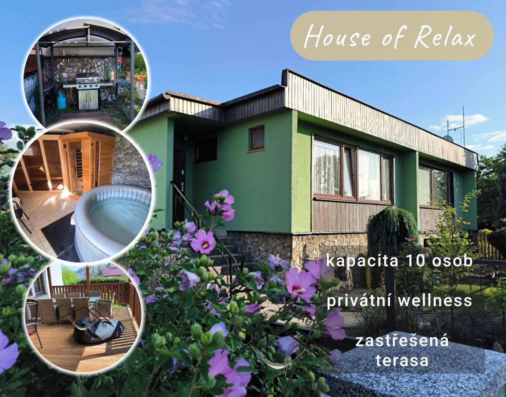 House Of Relax Villa Recany nad Labem Екстериор снимка